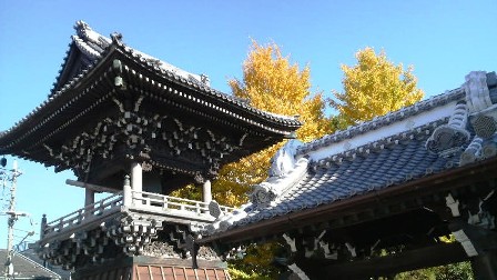 016題経寺（柴又帝釈天）・小.jpg