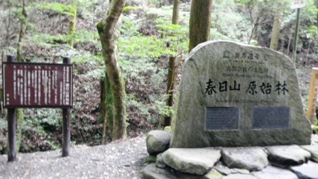 28春日奥山原始林.JPG