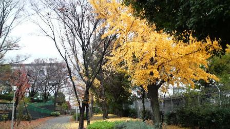 025真田山公園.JPG