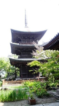 056信濃国分寺・三重塔.JPG