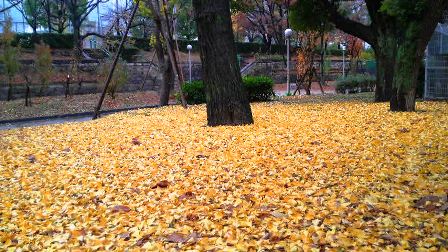 026真田山公園.JPG