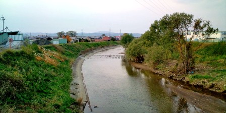 004大和川・帰仁橋上から下流を望む。.JPG