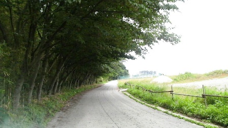 粟島の道 (2).JPG