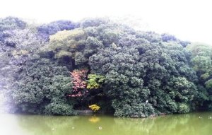 020雄略天皇陵 (4).JPG