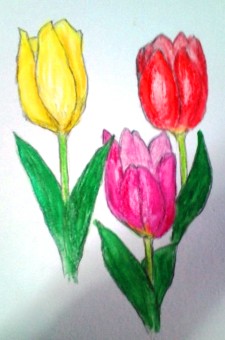 チューリップ.JPG
