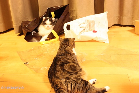 使用方法いろいろ