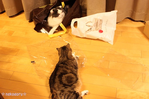 聞こえないフリ