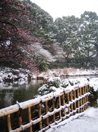 雪の日の横浜公園