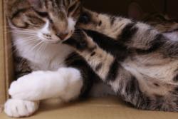 あまえんぼう03