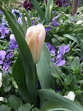 2009_04160014.jpg