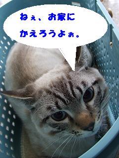 2009_05260006.jpg
