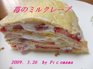 2009_05260015.jpg