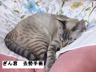 2009_05260019.jpg