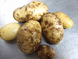2009_06290032.jpg