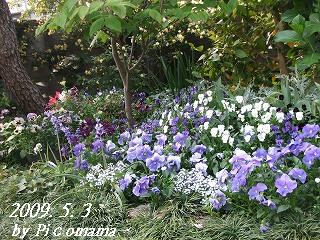 2009_05030024.jpg