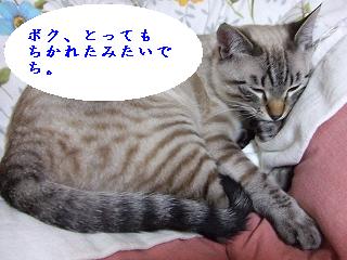 2009_05260020.jpg