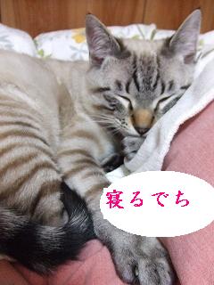 2009_05260021.jpg