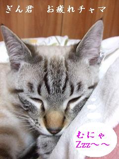 2009_05260022.jpg