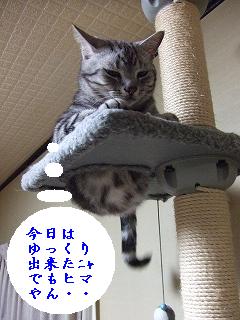 2009_05260023.jpg