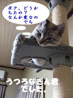 2009_05260028.jpg