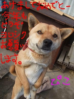 s-s-2009_01120006.jpg
