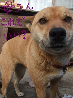 s-s-2009_01120007.jpg