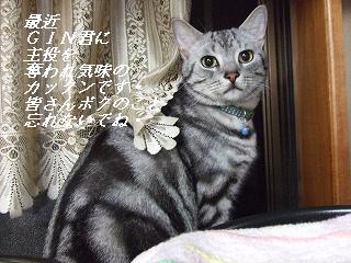 2009_05210015.jpg