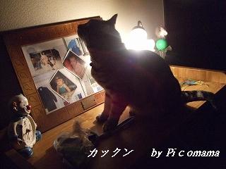2009_05210016.jpg