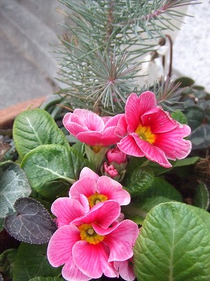 s-2009_01310041.jpg