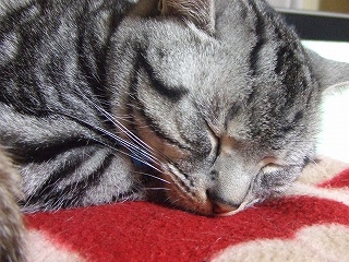 s-2009_01200007.jpg