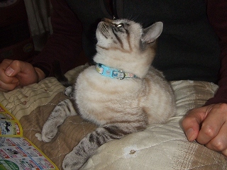 s-2009_01200009.jpg