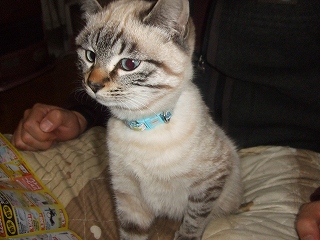s-2009_01200010.jpg