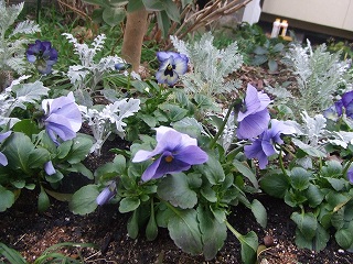 s-2009_01310025.jpg