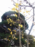 s-2009_01310014.jpg