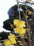 s-2009_01310012.jpg