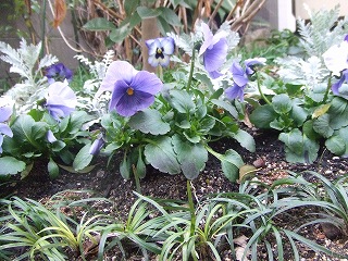 s-2009_01310035.jpg