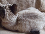 s-2009_01310005.jpg