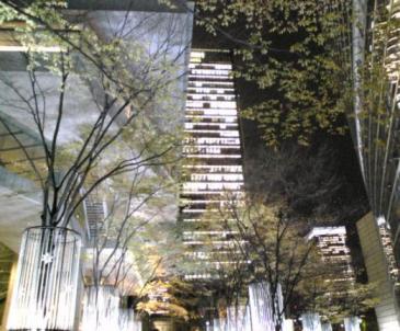 国際フォーラム