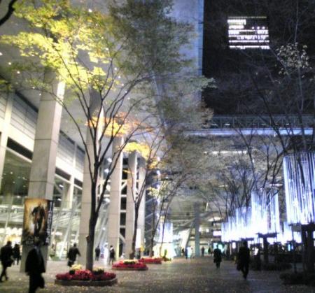 国際フォーラム