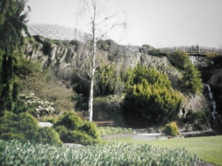 Queen Elizabeth Park.jpg