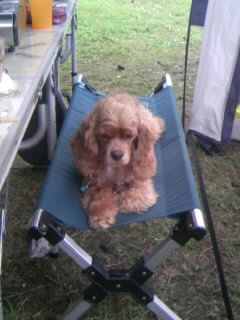 camp0830_2
