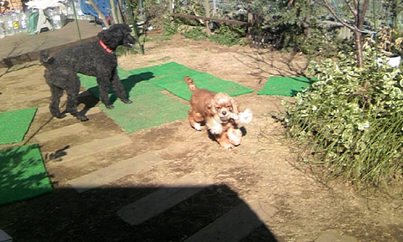 ball4