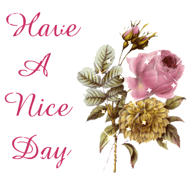 Have a nice Day.gif