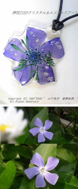 押し花クリスタルアートアクセサリーツルキキョウ1
