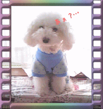 nene-gif
