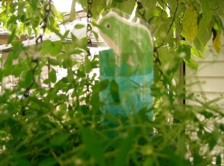 ペットボトル２