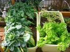 080122abs.JPG