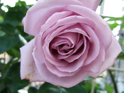 DSCF1094.JPG