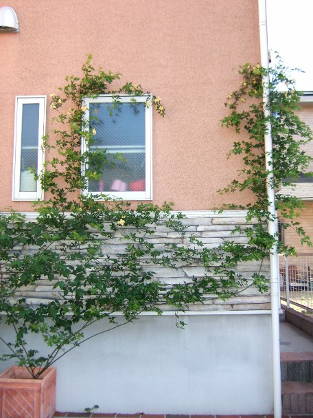 DSCF1058.JPG