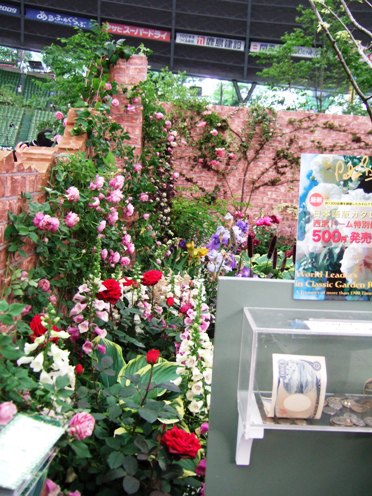 DSCF1126.JPG